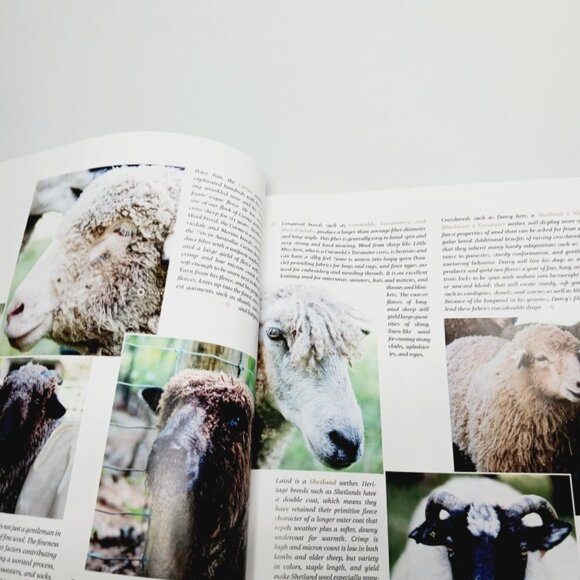 Taproot Magazine , Issue 41 "Extend" - Picture 5 of 14